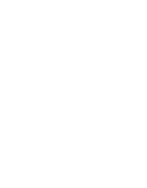 Majestic Phoenix Logo